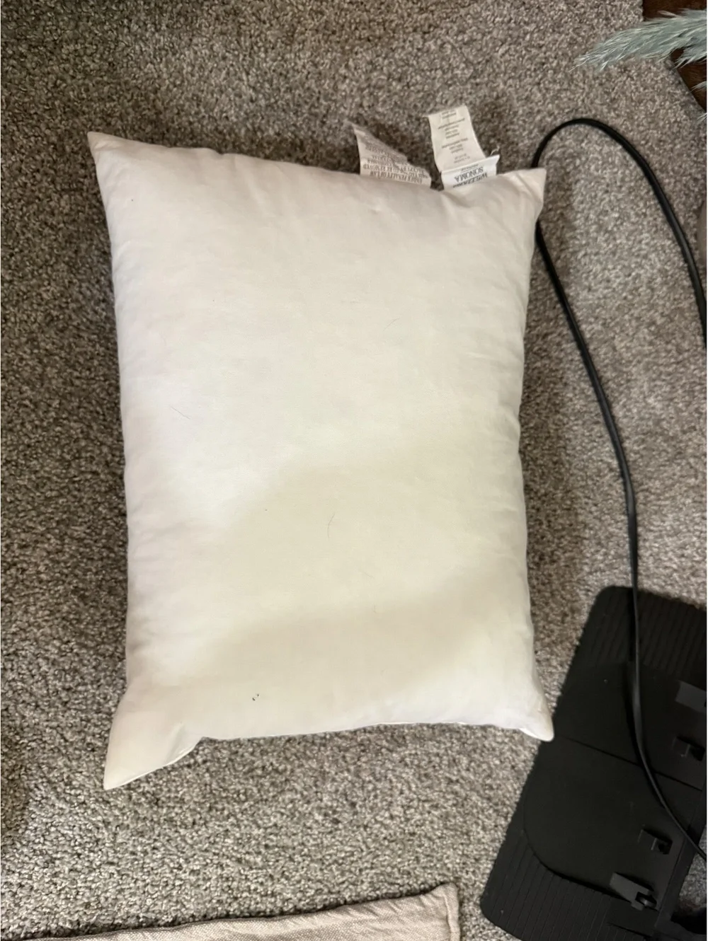 12x16 Williams Sonoma Home Feather Pillow Insert